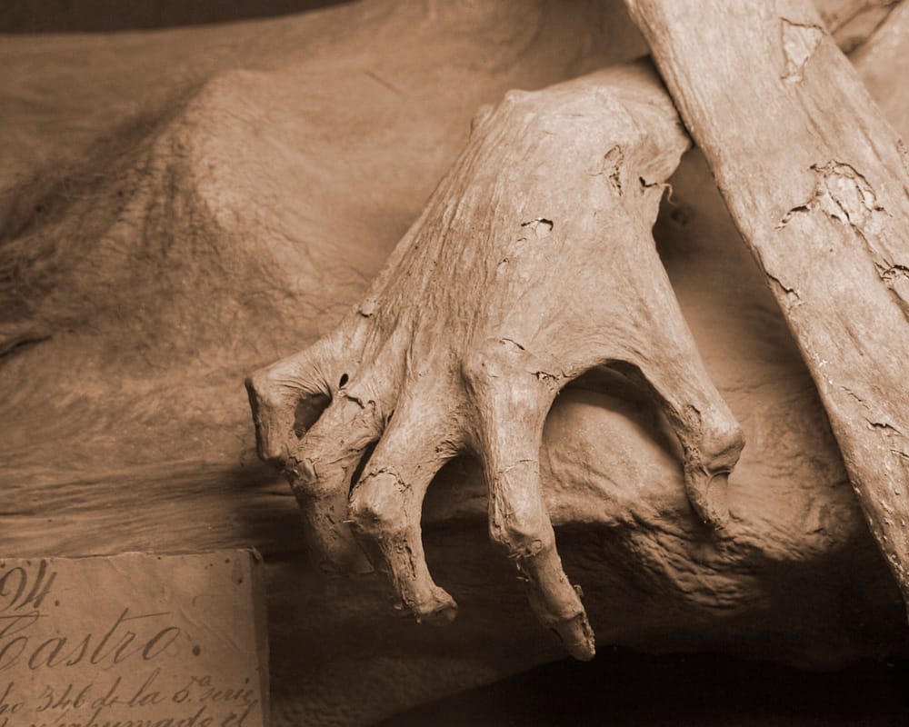 La maledizione della Mummia