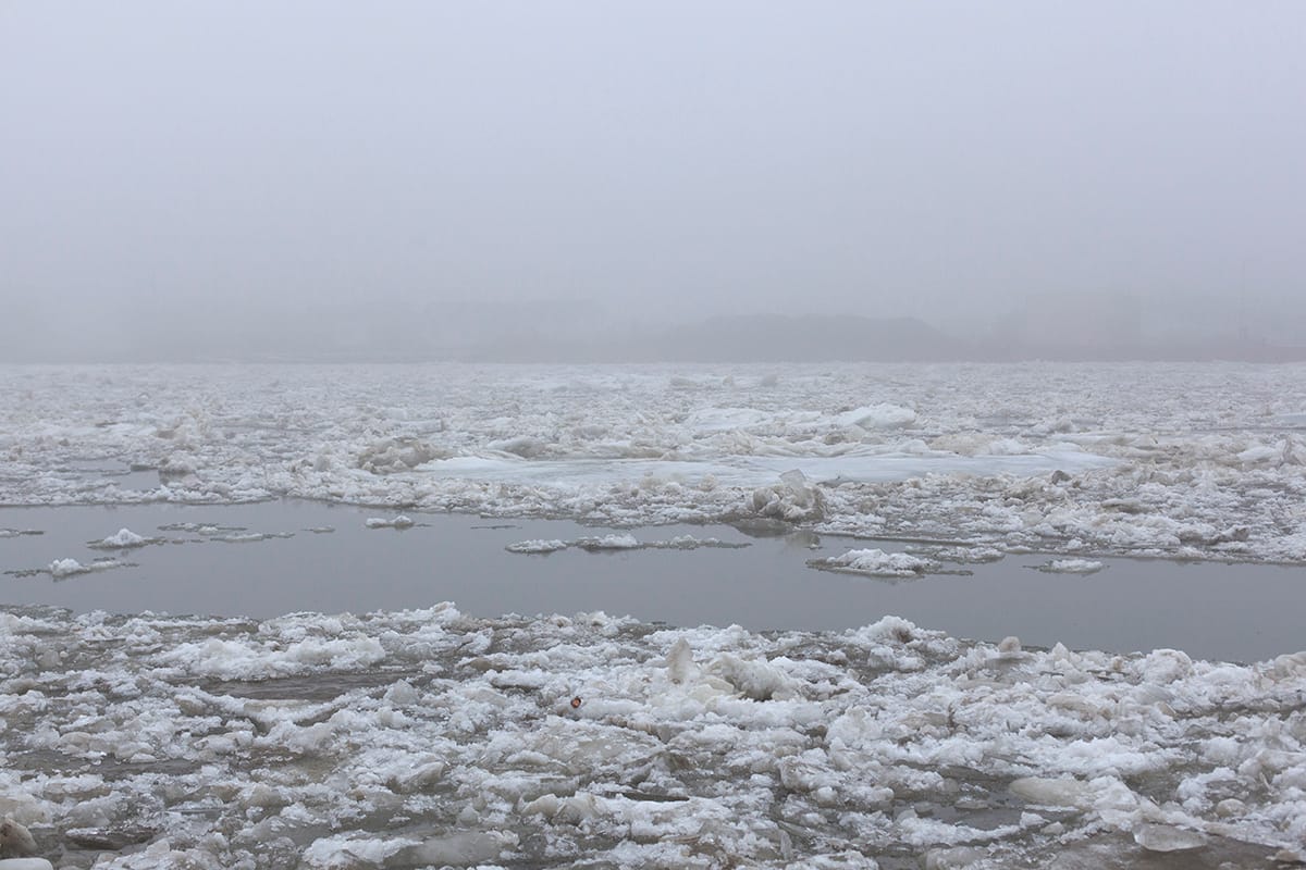 “Il delta del Danubio è il labirinto d’Europa”