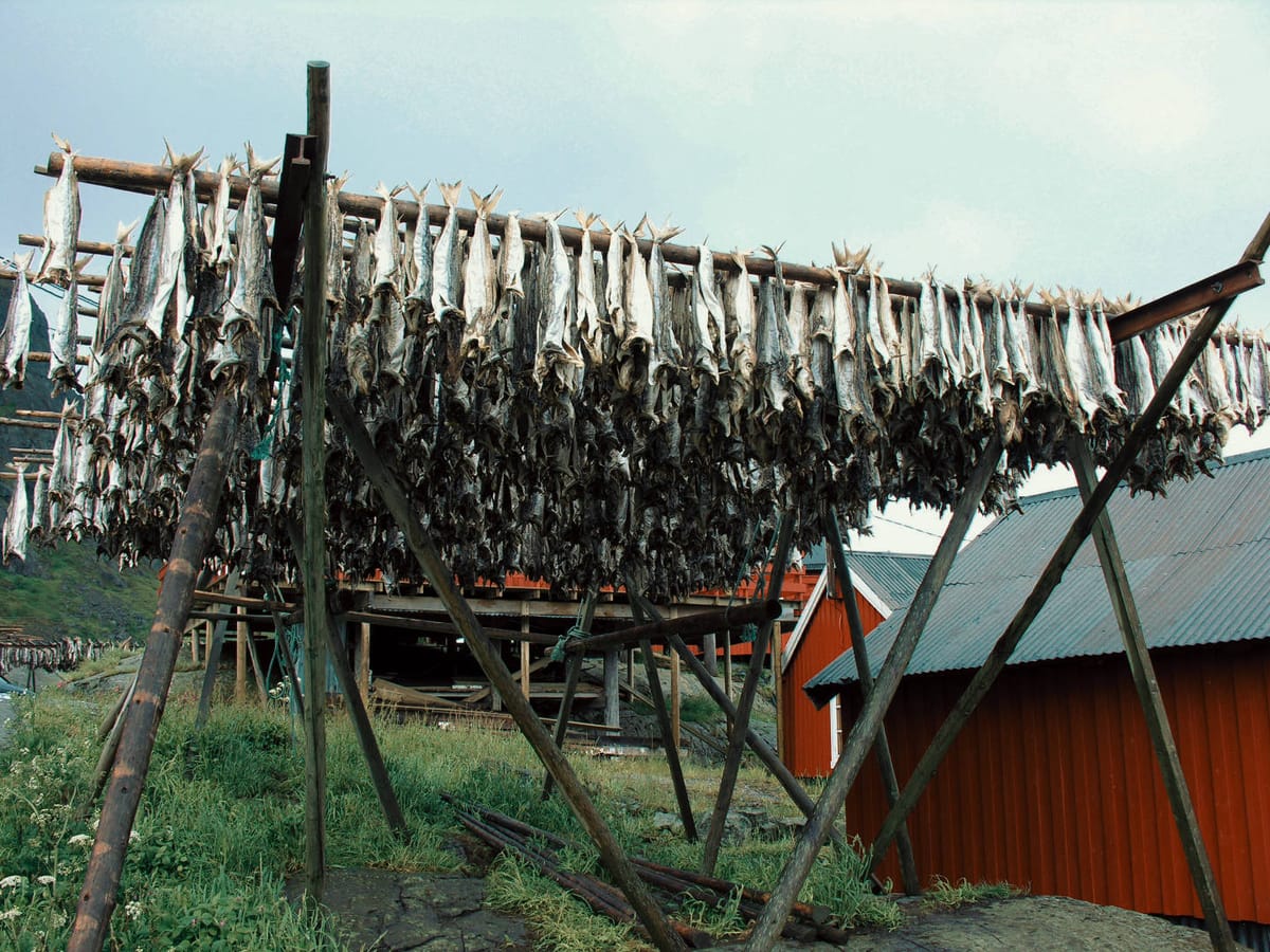 Il cambiamento climatico potrebbe mettere fine all’industria dello stoccafisso