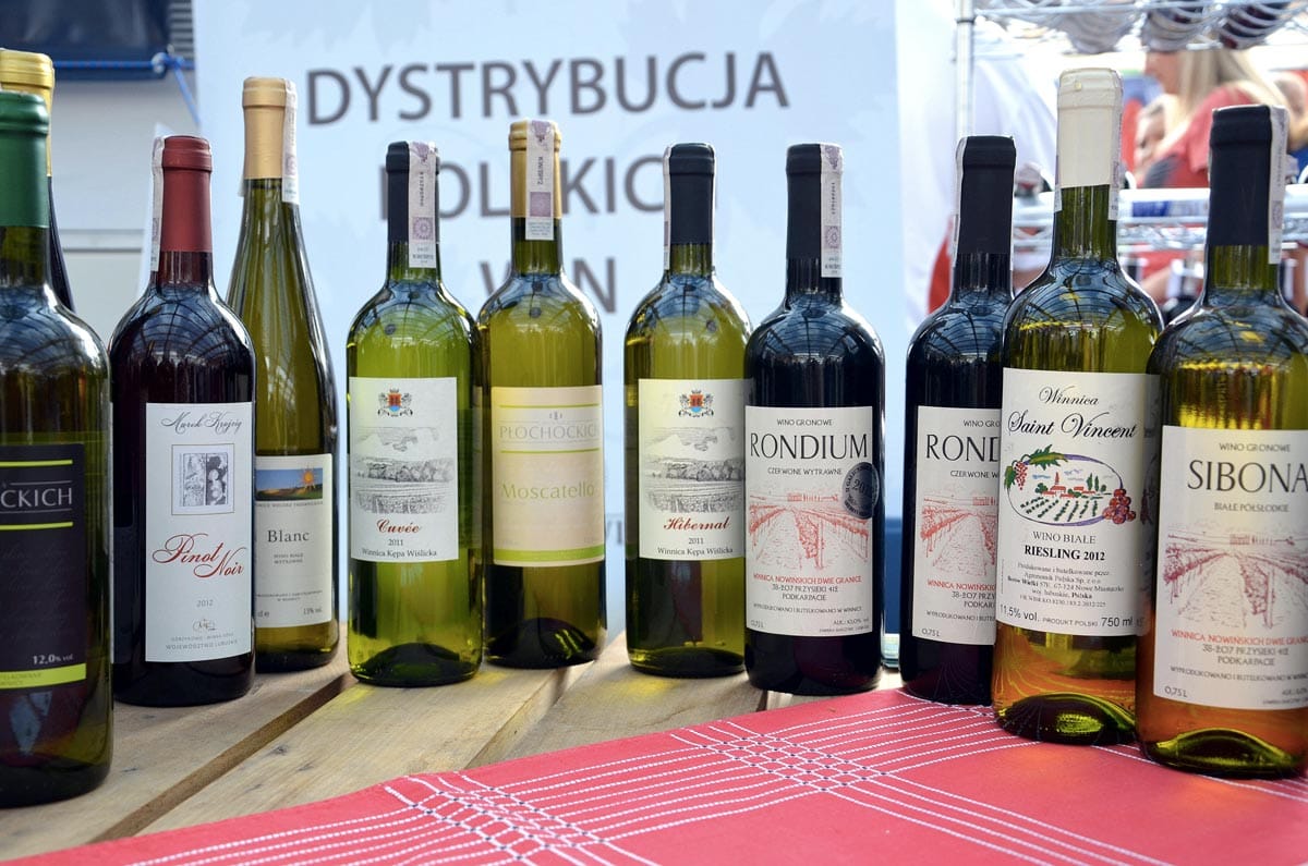 Dal Bacco di Jas?o alla strada di Sandomierz: storia del vino polacco