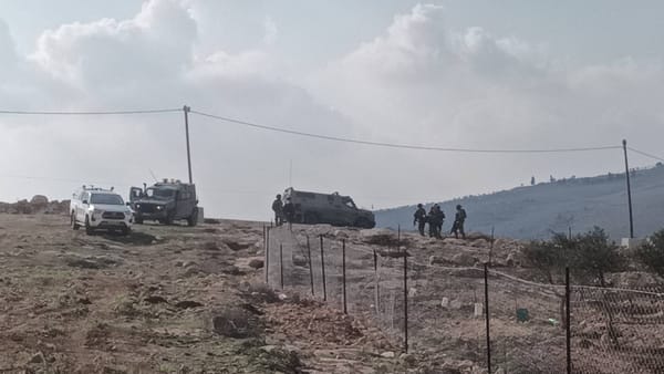 La violenza dei coloni israeliani è violenza di stato