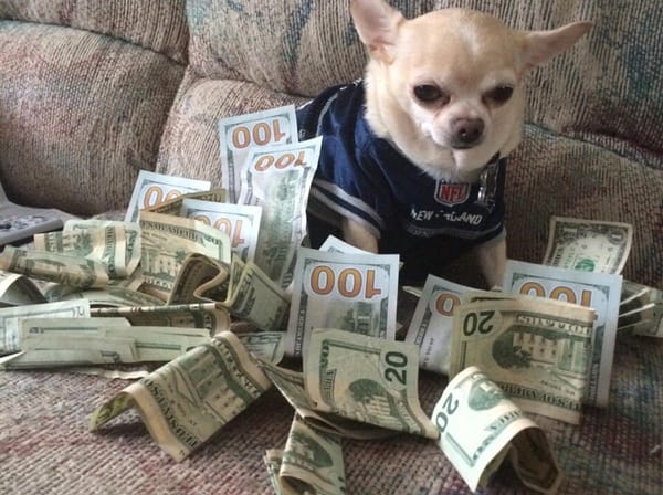 Le coperture della legge di bilancio