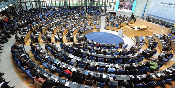 Hello, World! La COP23 sei tu