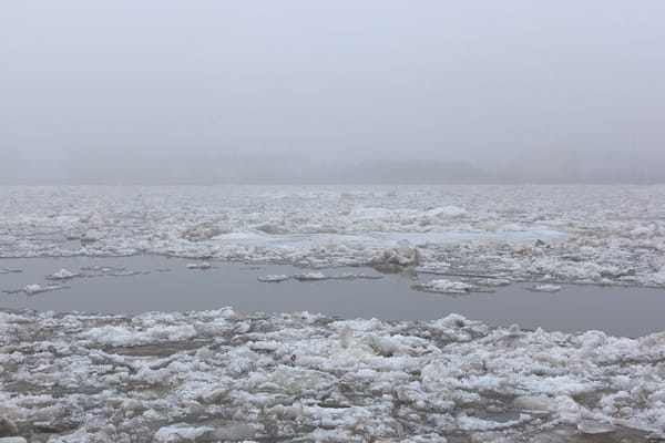 “Il delta del Danubio è il labirinto d’Europa”