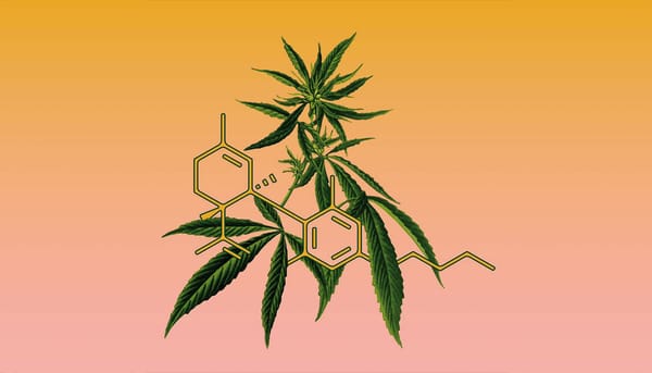 Una soluzione al dolore mestruale? Forse questi assorbenti interni alla cannabis