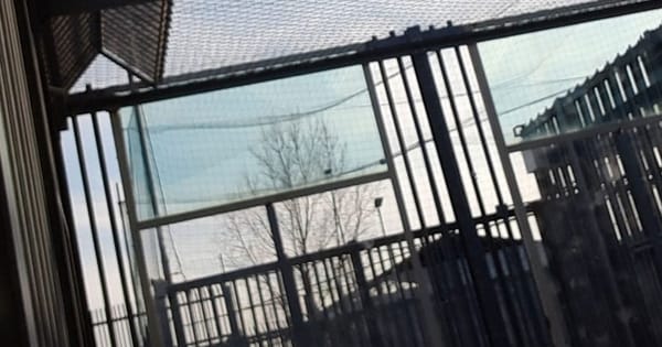 “La morte di Vakhtang Enukidze è un nuovo caso Cucchi”