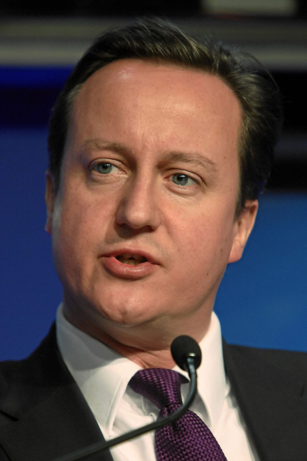 David_Cameron_-_World_Economic_Forum_Annual_Meeting_Davos_2010