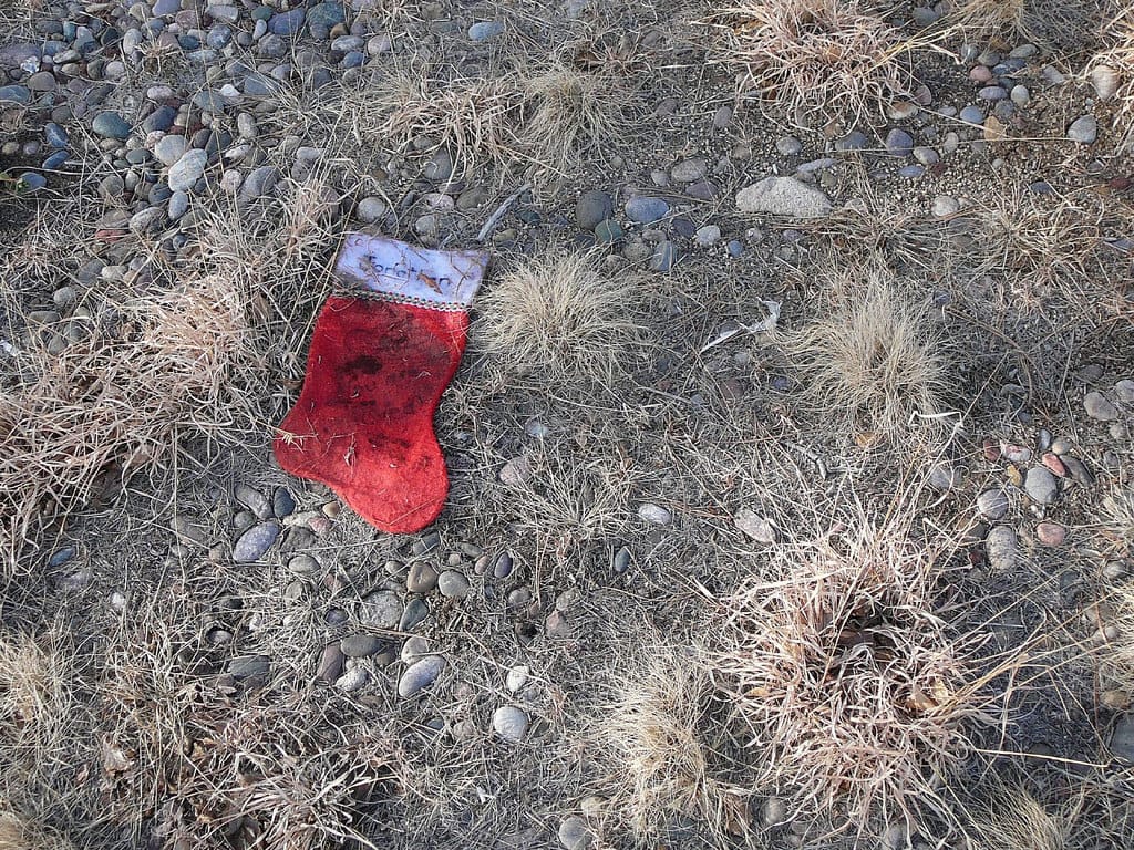 451871757_30fa3d78bd_b