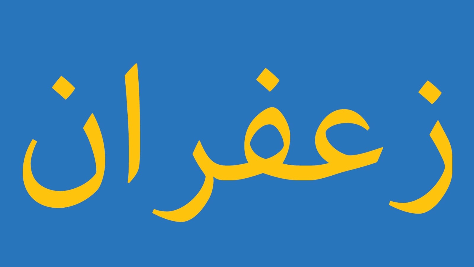 whatsapp-image-2017-01-29-at-16-19-41