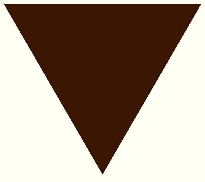 brown_triangle_svg-1