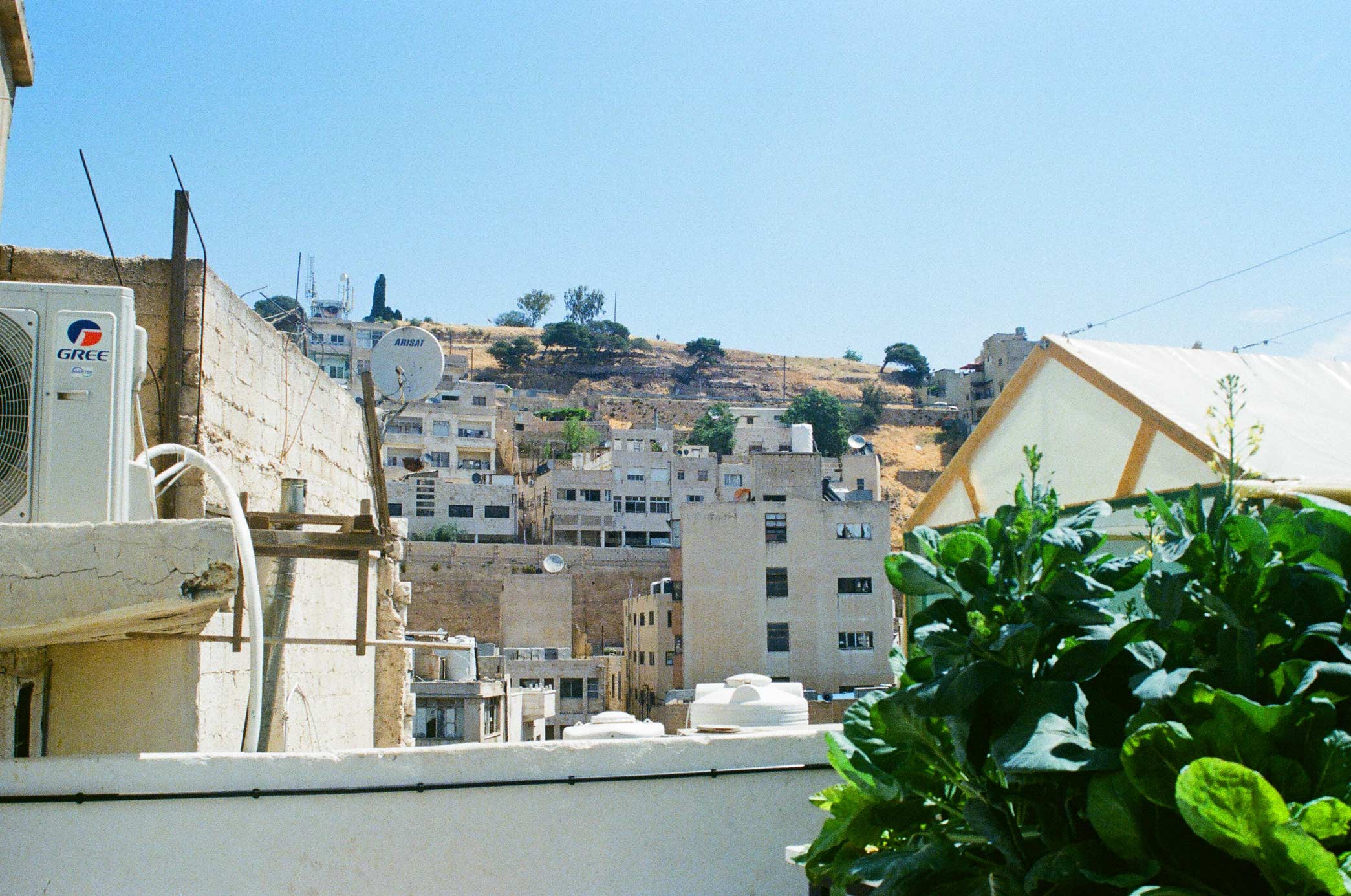 greening the camps 3