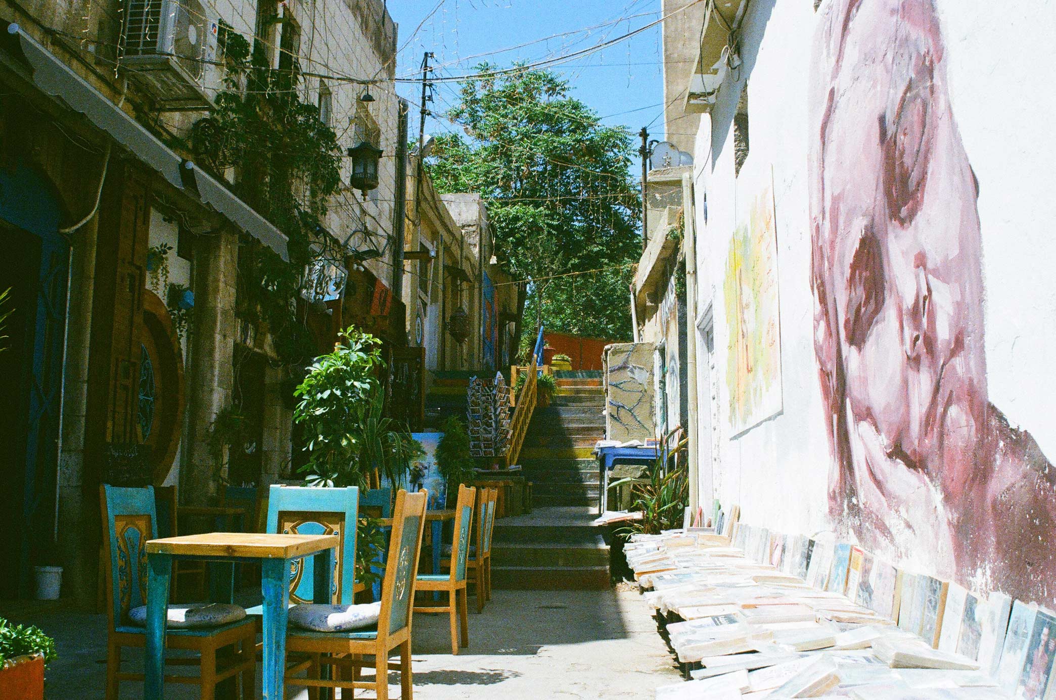 greening the camps 1