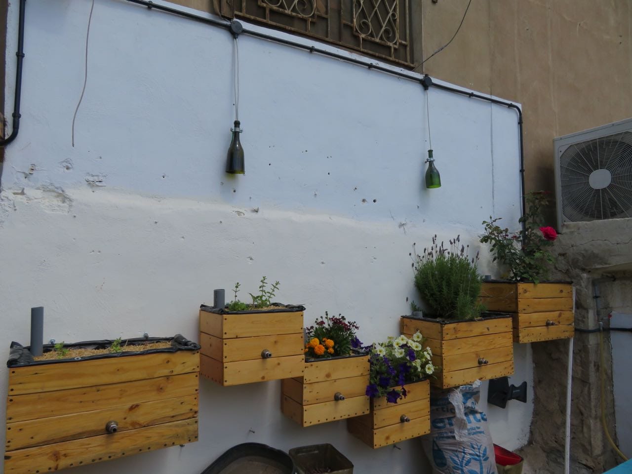 greening the camps 7